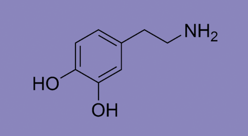 Dopamine: The Currency of Desire